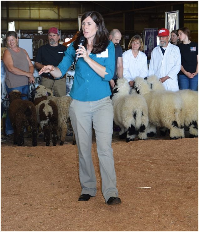 Judge Heather Pearce explains her evaluations of the teams competing for the Best Young Flock. Photo: Peggy Lundquist.